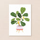 Tropische Plant | Kamerplanten