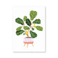 Tropische Plant | Kamerplanten