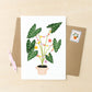 Party Plant | Kamerplanten
